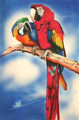 Parrots (2004) - small